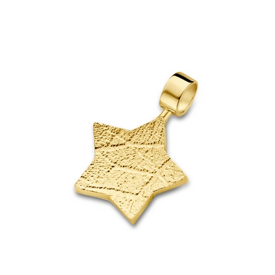 Star Pendant i guld
